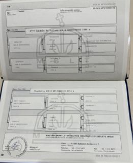 Elad� 5 �ves magyar sportl� her�lt 