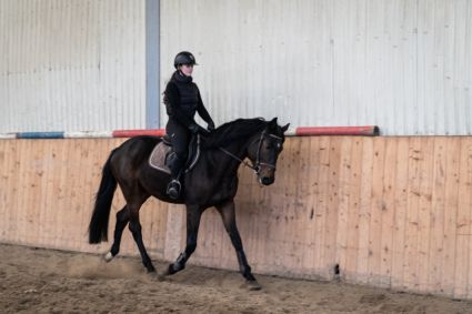 Elad� 5 �ves magyar sportl� her�lt 