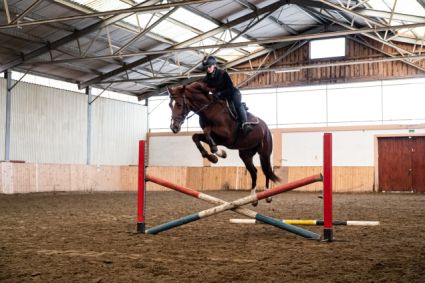 Elad� 5 �ves magyar sportl� her�lt 