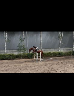 Elad� 5 �ves magyar sportl� her�lt 