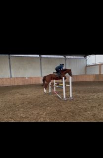 Elad� 5 �ves magyar sportl� her�lt 