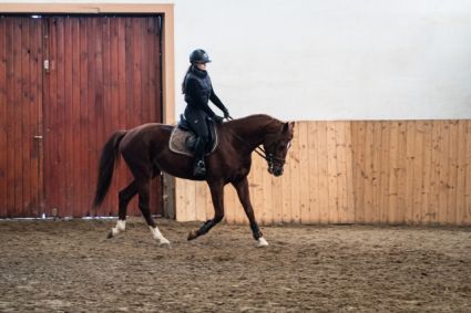 Elad� 5 �ves magyar sportl� her�lt 