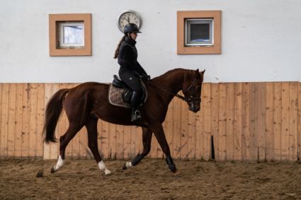 Elad� 5 �ves magyar sportl� her�lt 