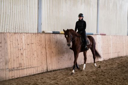 Elad� 5 �ves magyar sportl� her�lt 