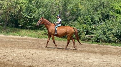 Elad� 9 �ves gidr�n kanca 