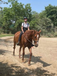 Elad� 9 �ves gidr�n kanca 