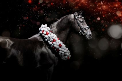 18 �ves d�n sportl� m�n 