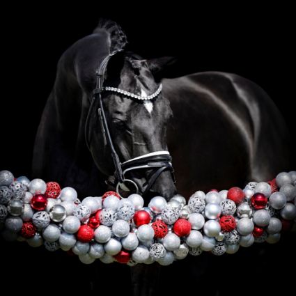 18 �ves d�n sportl� m�n 