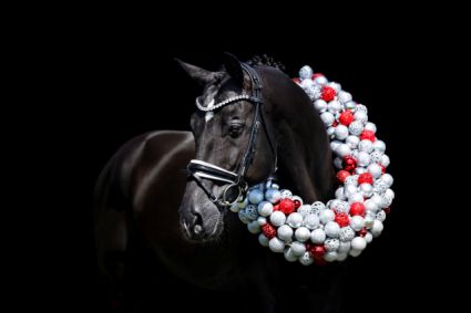 18 �ves d�n sportl� m�n 