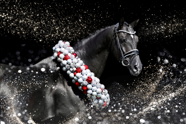 18 �ves d�n sportl� m�n 