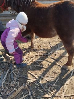 Elad� 19 �ves sportp�ni kanca 