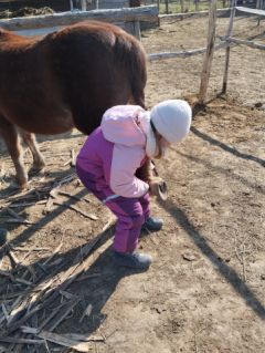 Elad� 19 �ves sportp�ni kanca 