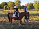 Elad 18 ves sportpni kanca 