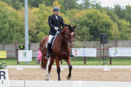 Elad� 7 �ves magyar f�lv�r her�lt 