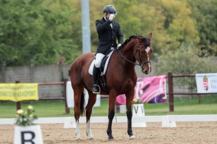 Elad� 7 �ves magyar f�lv�r her�lt 