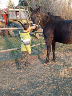 Elad 5 ves nniusz kanca 