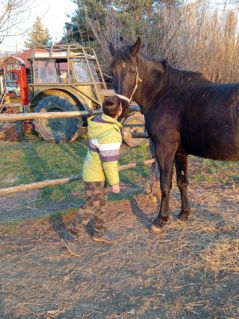 Elad 5 ves nniusz kanca 