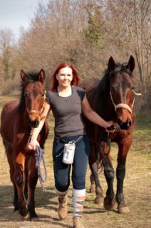 Elad 1 ves painthorse mn 