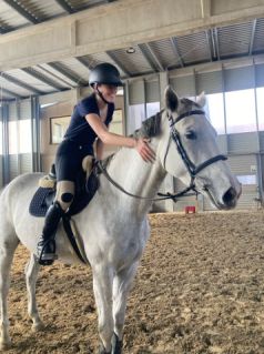 Elad 5 ves magyar sportl kanca 