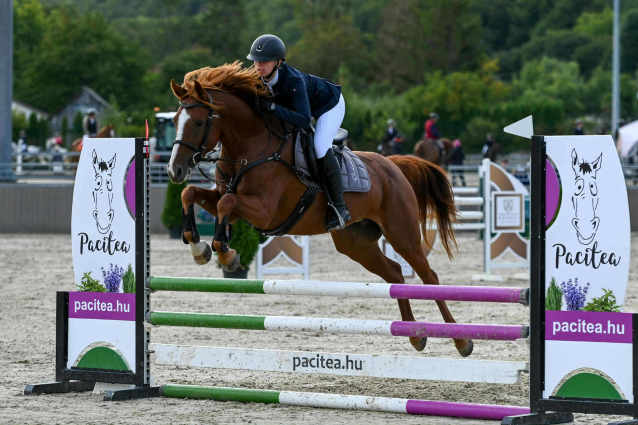 Elad� 5 �ves magyar f�lv�r kanca 