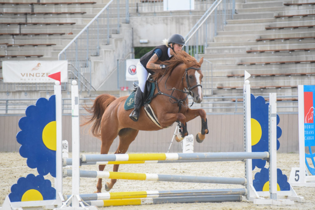 Elad� 6 �ves magyar f�lv�r kanca 