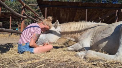 Elad� 3 �ves hidegv�r� m�n 