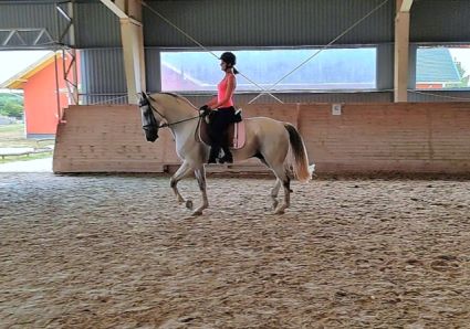 Elad� 12 �ves magyar sportl� her�lt 