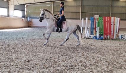 Elad� 12 �ves magyar sportl� her�lt 