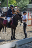 Elad 4 ves pni herlt 