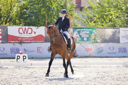 Elad� 12 �ves magyar f�lv�r her�lt 