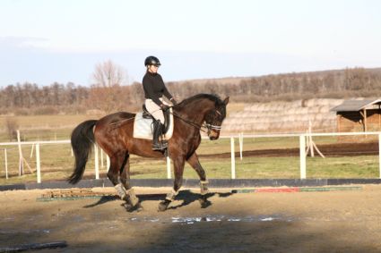 Elad� 12 �ves magyar f�lv�r her�lt 