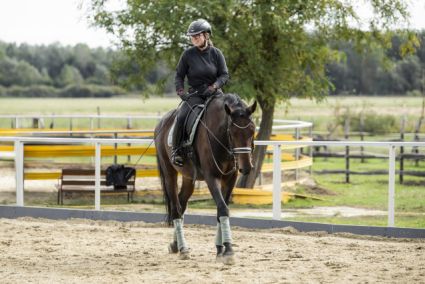 Elad� 12 �ves magyar f�lv�r her�lt 