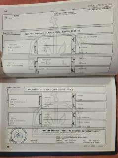 Elad� 4 �ves magyar sportl� kanca 