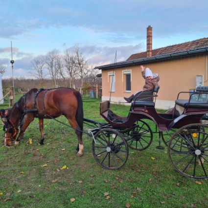 Elad� 8 �ves furioso kanca 