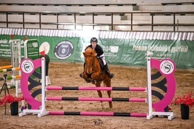 Elad� 12 �ves p�ni her�lt 