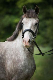 Elad� 10 �ves sportp�ni kanca 