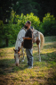 Elad 14 ves painthorse herlt 