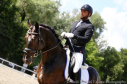 Elad 4 ves oldenburgi herlt 