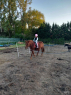 Elad 11 ves sodrott kanca 