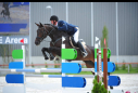 Elad 15 ves magyar sportl kanca 