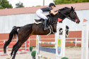 Elad 15 ves magyar sportl kanca 