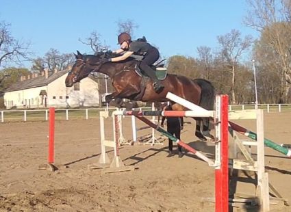 Elad� 16 �ves osztr�k melegv�r� kanca 