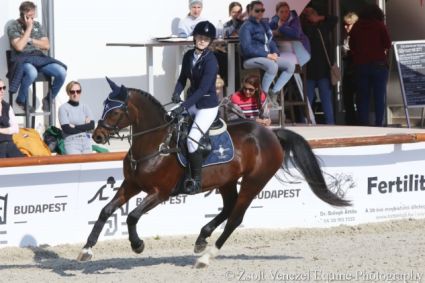 Elad� 16 �ves osztr�k melegv�r� kanca 