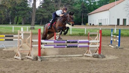 Elad� 16 �ves osztr�k melegv�r� kanca 