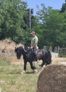 Elad� 9 �ves tinker her�lt 