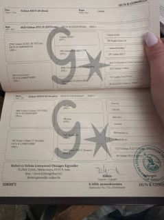 Elad� 7 �ves gidr�n kanca 