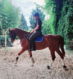 Elad 5 ves kisbri flvr kanca 