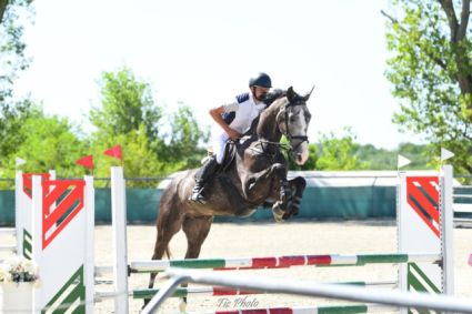 Elad 4 ves magyar sportl herlt 