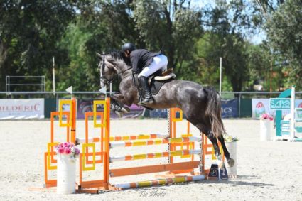 Elad 4 ves magyar sportl herlt 