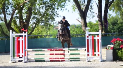 Elad 4 ves magyar sportl herlt 